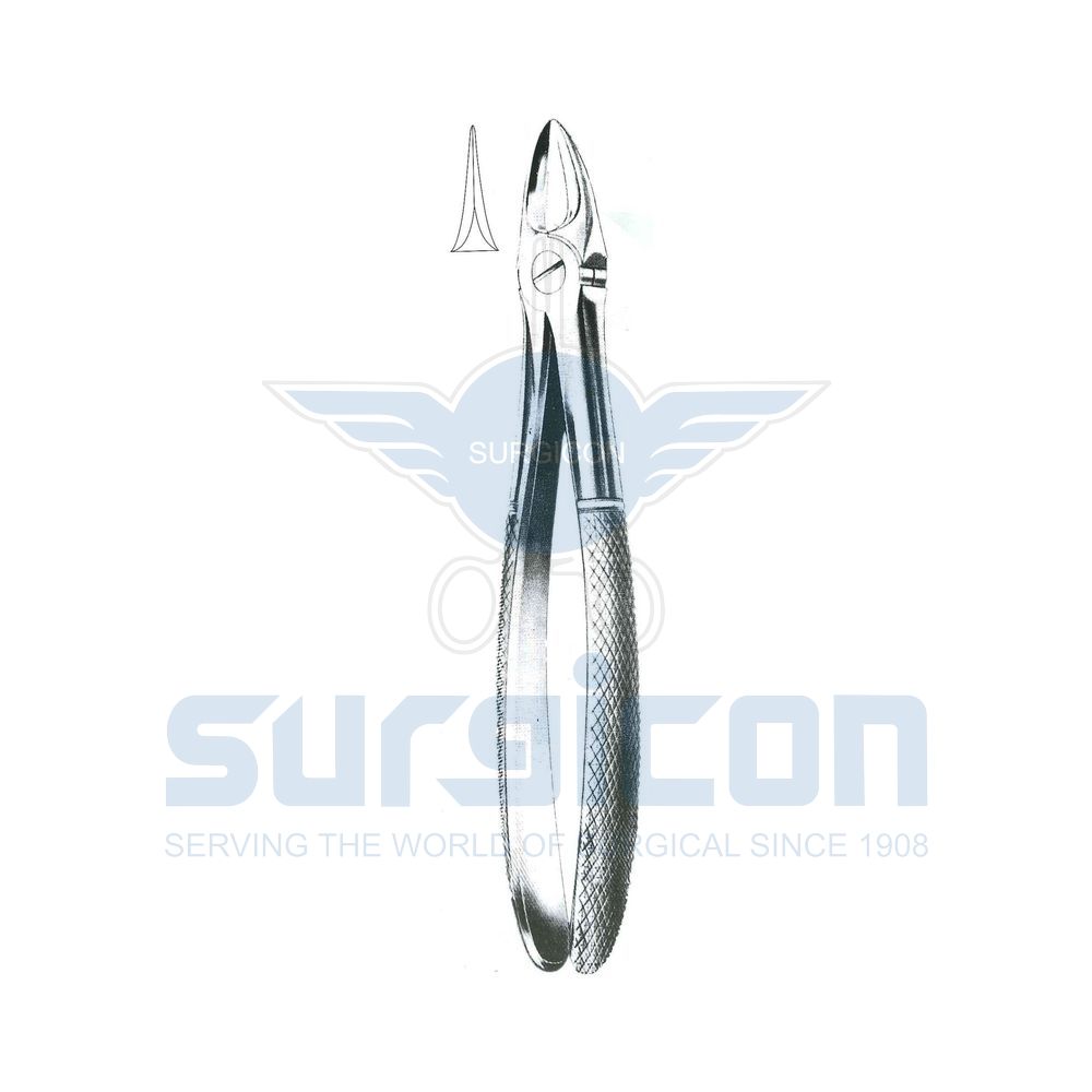 English-Pattern-Extraction-Forcep-SD-0249-54