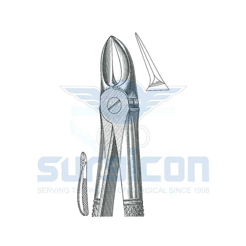 English-Pattern-Extraction-Forcep-SD-0250-55