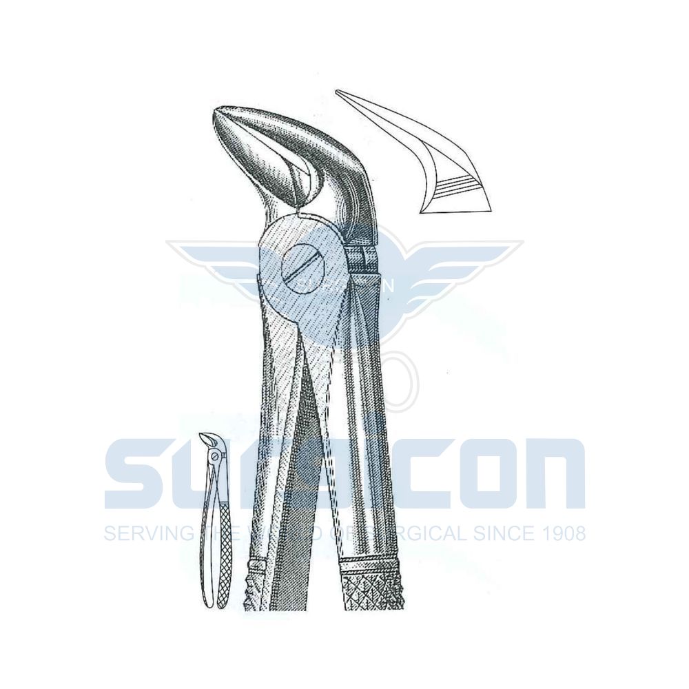 English-Pattern-Extraction-Forcep-SD-0251-56