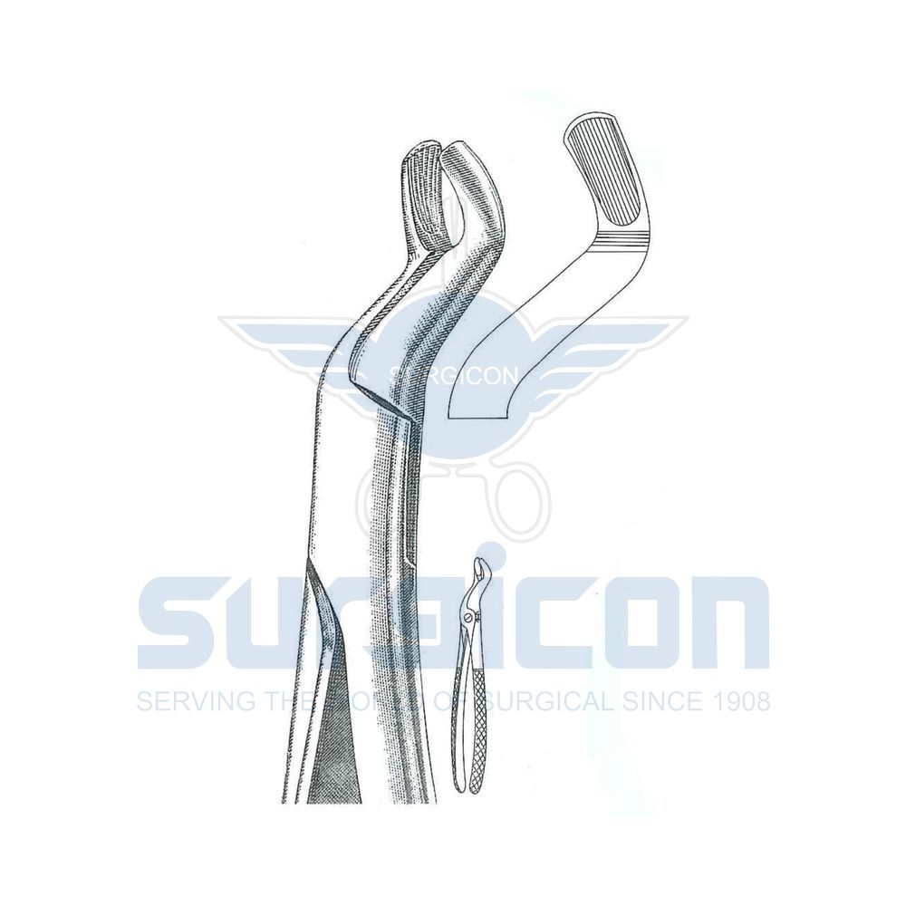 English-Pattern-Extraction-Forcep-SD-0254-67