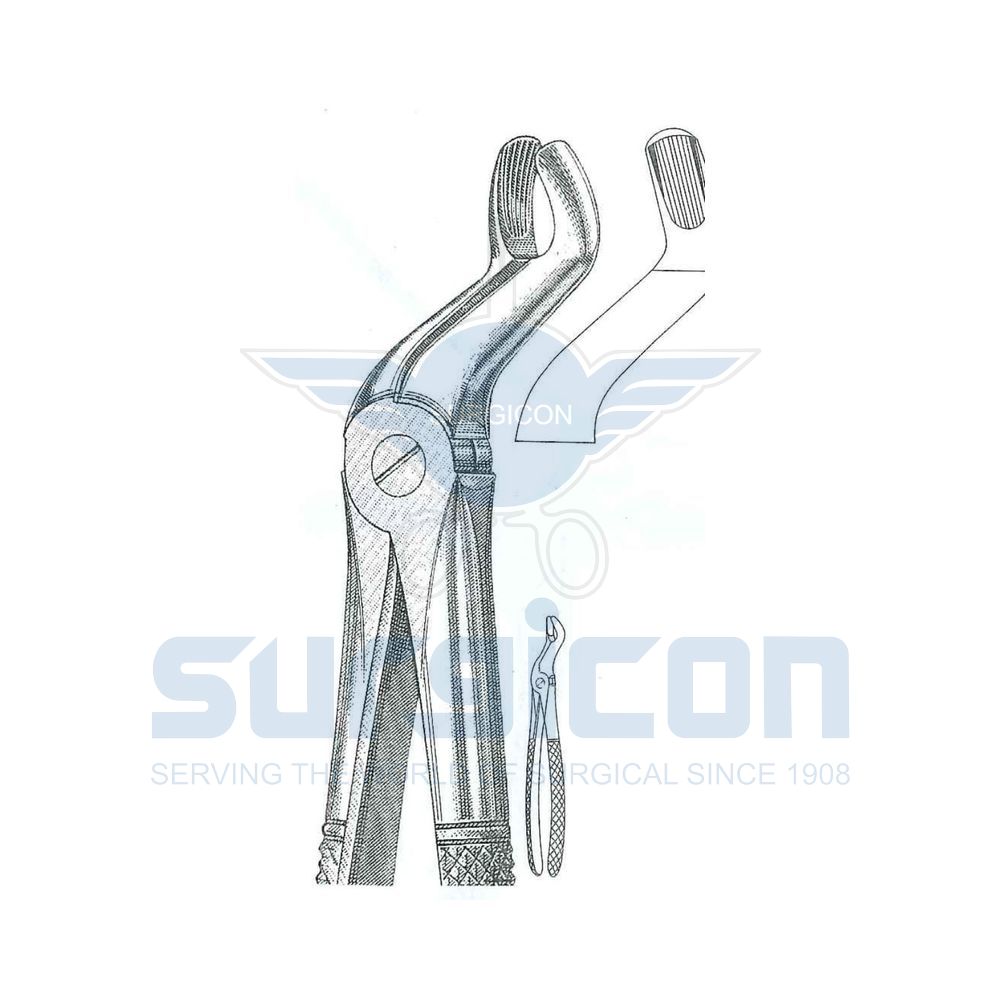 English-Pattern-Extraction-Forcep-SD-0255-67A