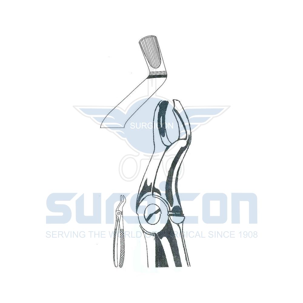 English-Pattern-Extraction-Forcep-SD-0256-67L