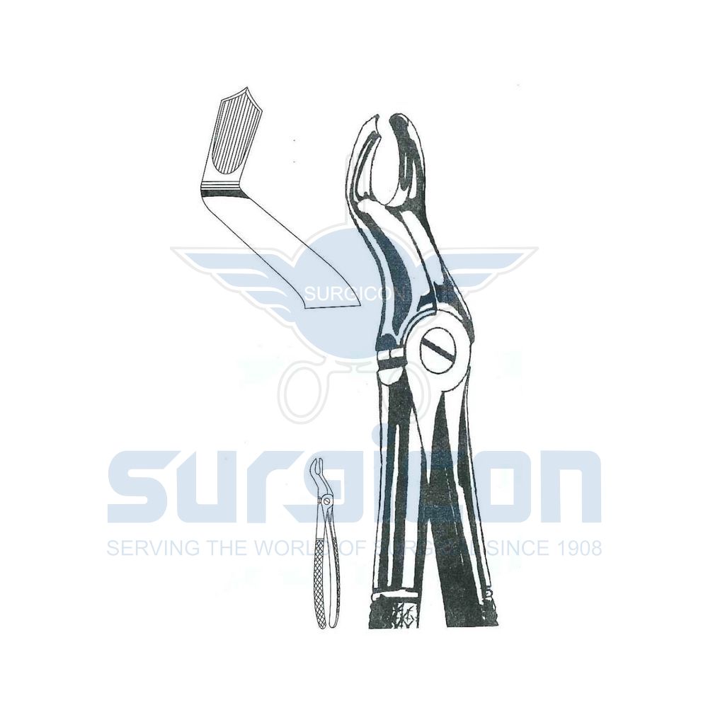 English-Pattern-Extraction-Forcep-SD-0257-67R