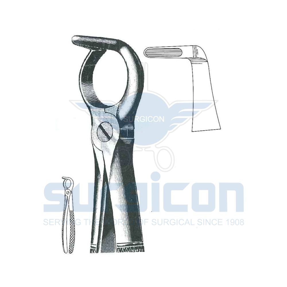 English-Pattern-Extraction-Forcep-SD-0258-68