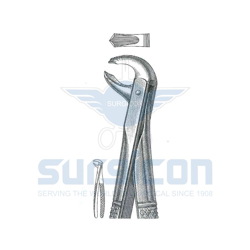 English-Pattern-Extraction-Forcep-SD-0260-73
