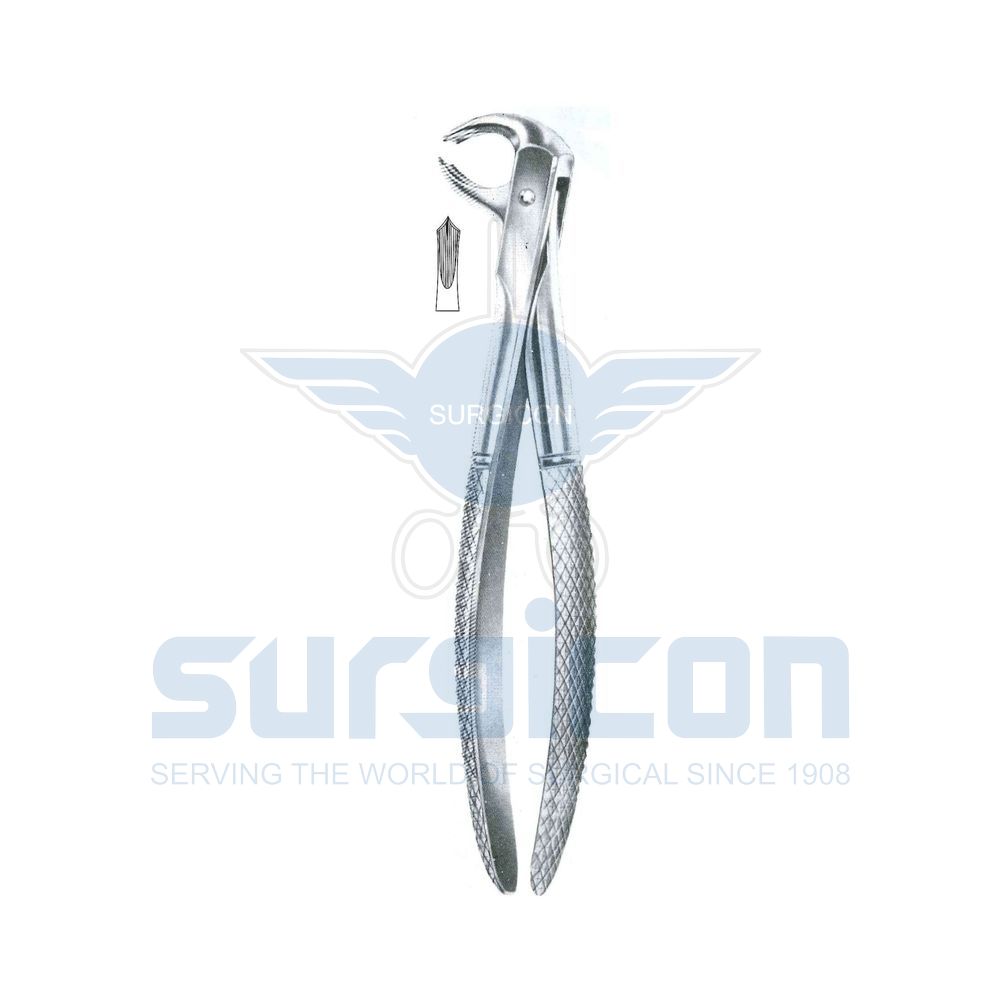 English-Pattern-Extraction-Forcep-SD-0261-73A
