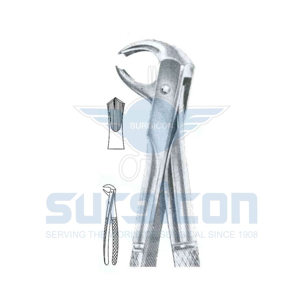 English-Pattern-Extraction-Forcep-SD-0262-73B