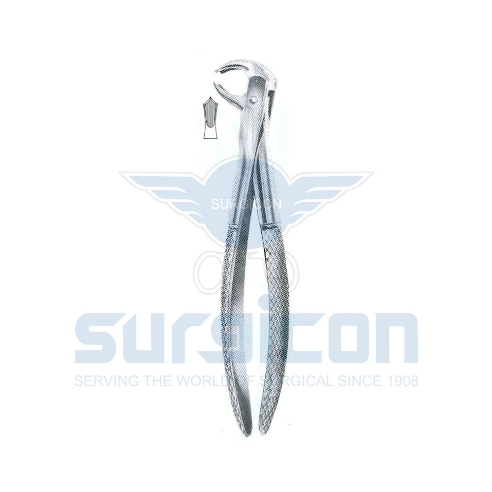 English-Pattern-Extraction-Forcep-SD-0263-73K