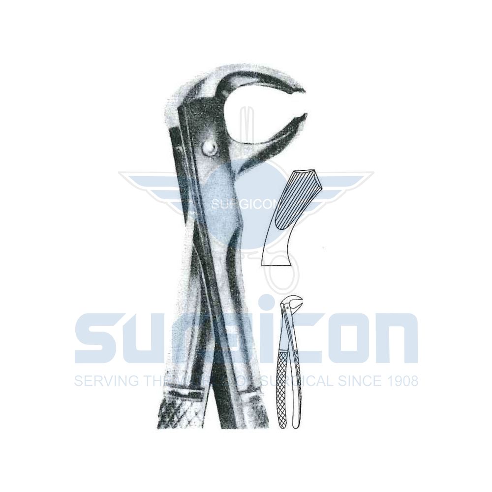 English-Pattern-Extraction-Forcep-SD-0264-73R