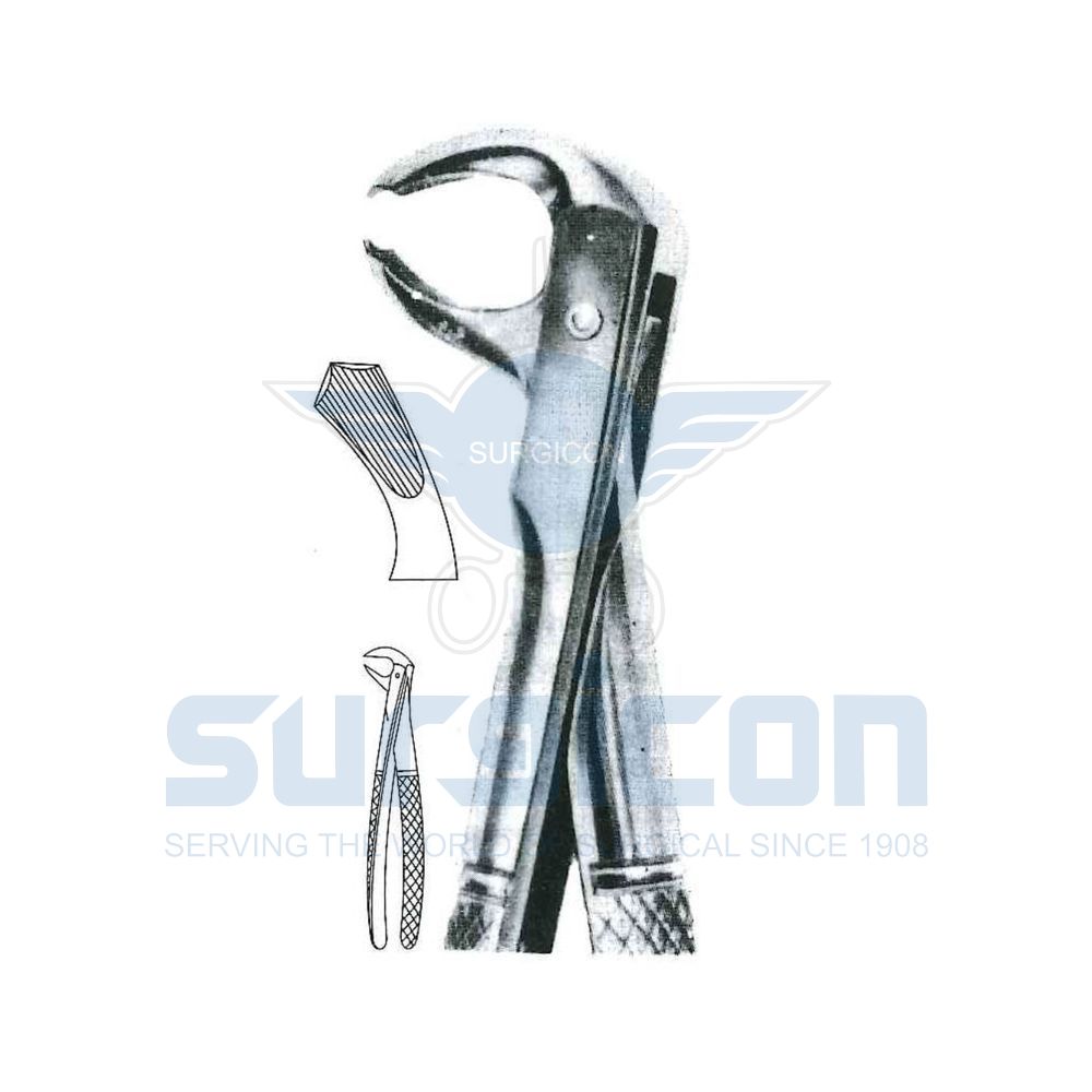 English-Pattern-Extraction-Forcep-SD-0265-73L