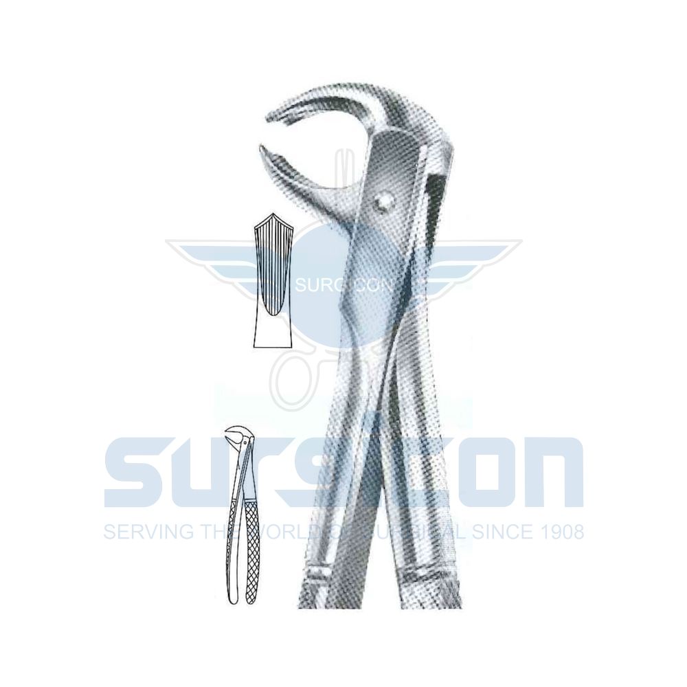 English-Pattern-Extraction-Forcep-SD-0266-73S