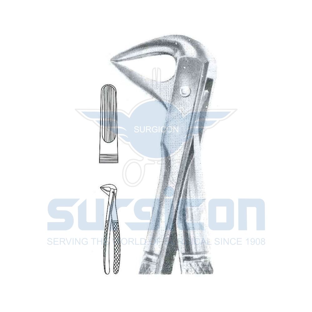 English-Pattern-Extraction-Forcep-SD-0267-74