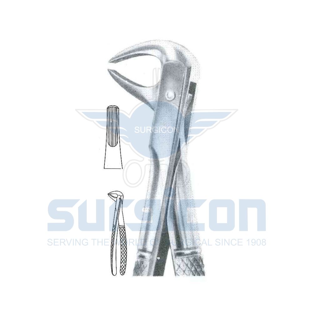 English-Pattern-Extraction-Forcep-SD-0268-74D