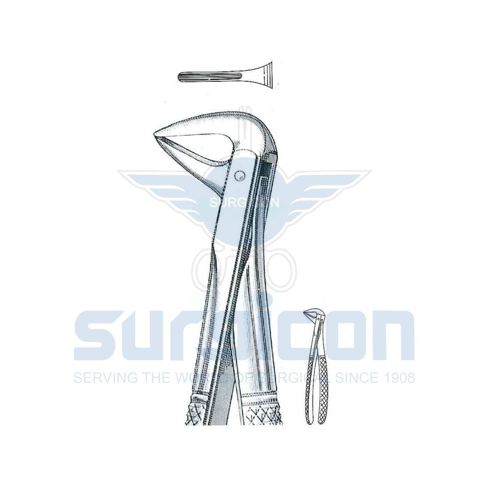 English-Pattern-Extraction-Forcep-SD-0269-74N