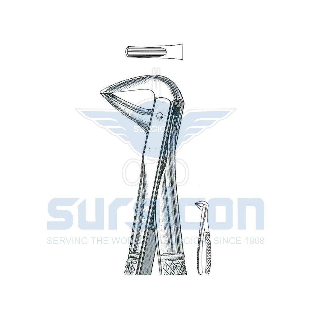 English-Pattern-Extraction-Forcep-SD-0270-74M