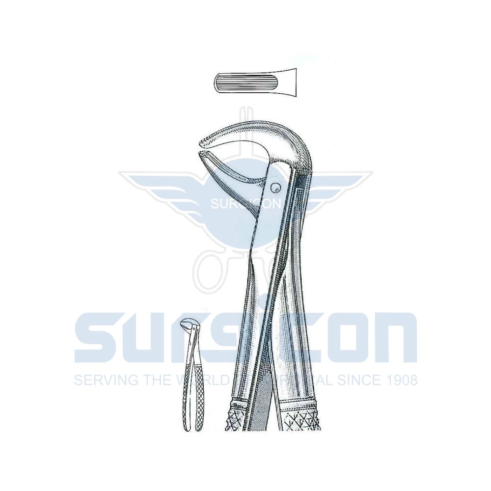 English-Pattern-Extraction-Forcep-SD-0272-75
