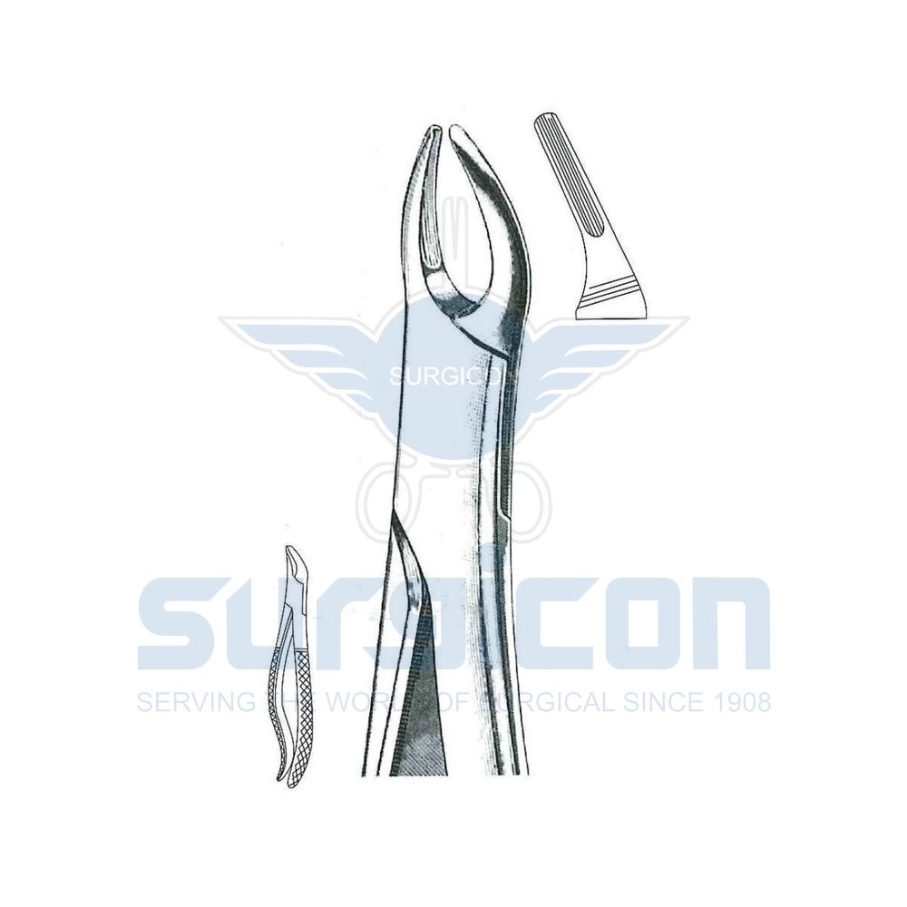 English-Pattern-Extraction-Forcep-SD-0274-76N