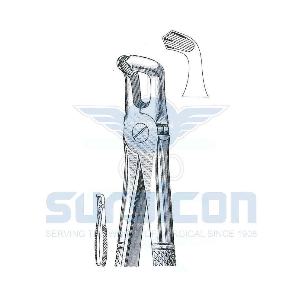 English-Pattern-Extraction-Forcep-SD-0276-79