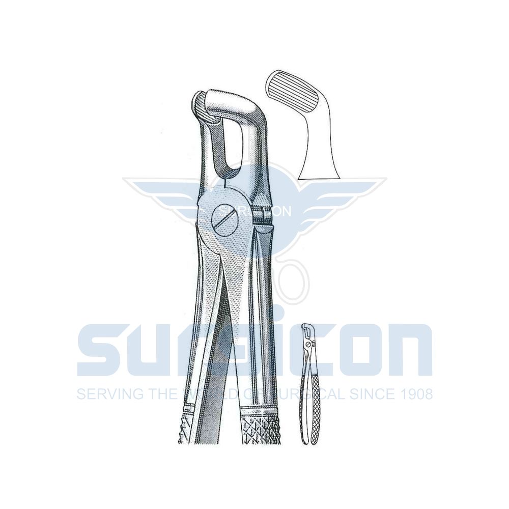 English-Pattern-Extraction-Forcep-SD-0277-79A