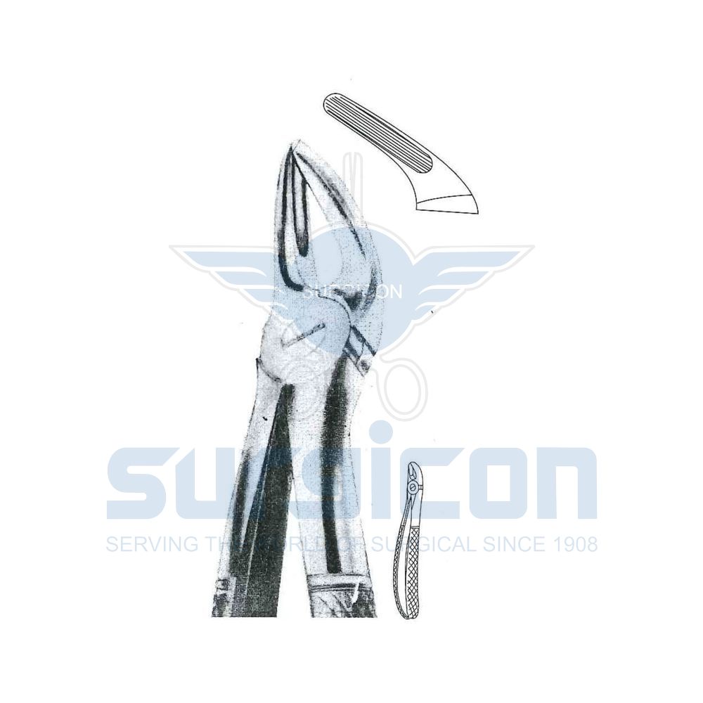 English-Pattern-Extraction-Forcep-SD-0278-80