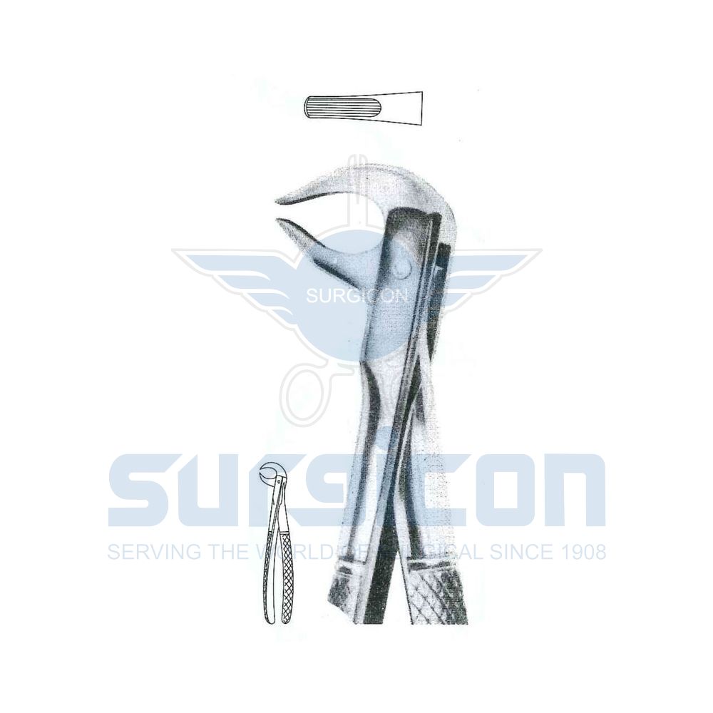 English-Pattern-Extraction-Forcep-SD-0279-81