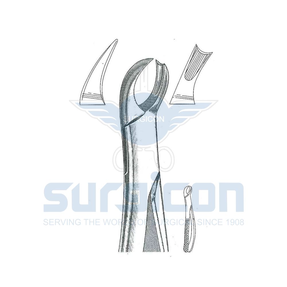 English-Pattern-Extraction-Forcep-SD-0284-89