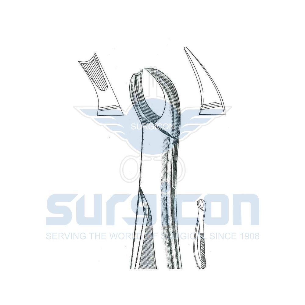 English-Pattern-Extraction-Forcep-SD-0285-90