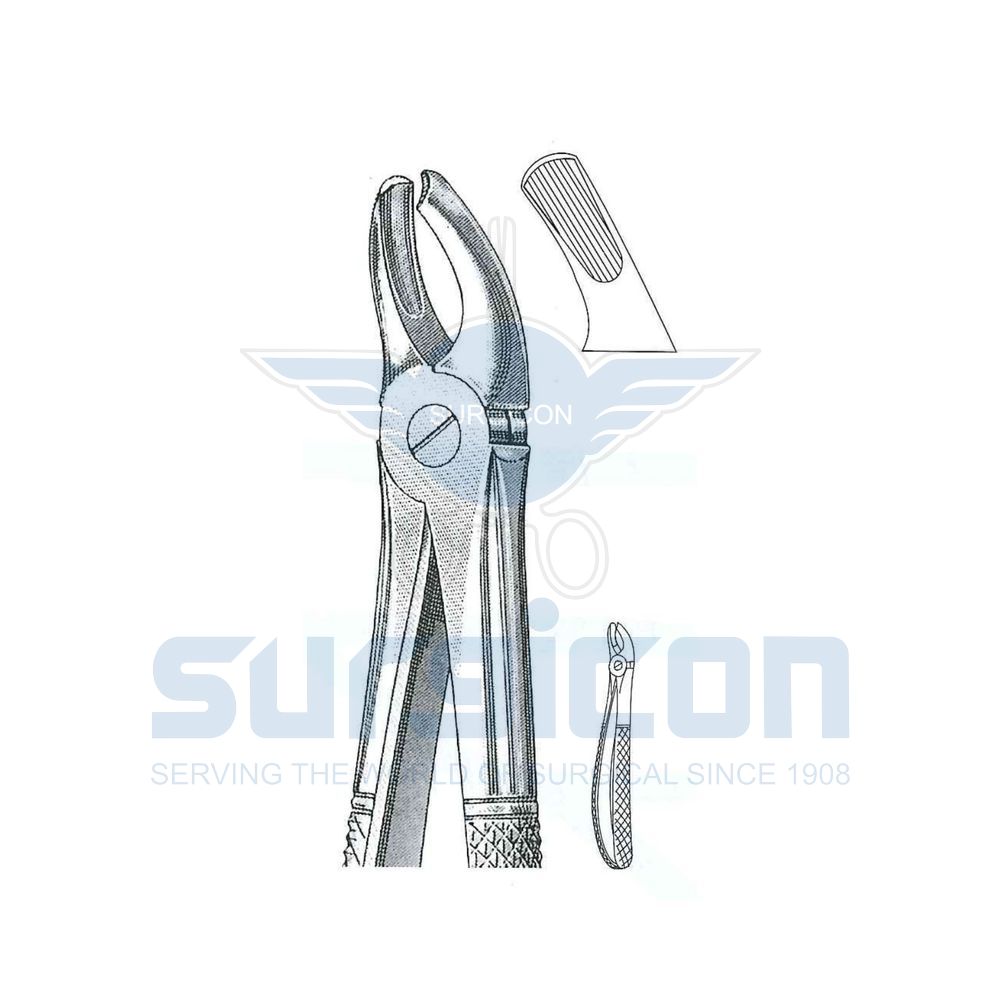 English-Pattern-Extraction-Forcep-SD-0287-95