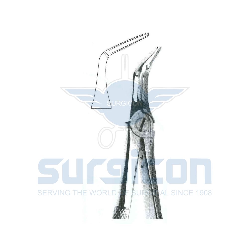 English-Pattern-Extraction-Forcep-SD-0301-46L
