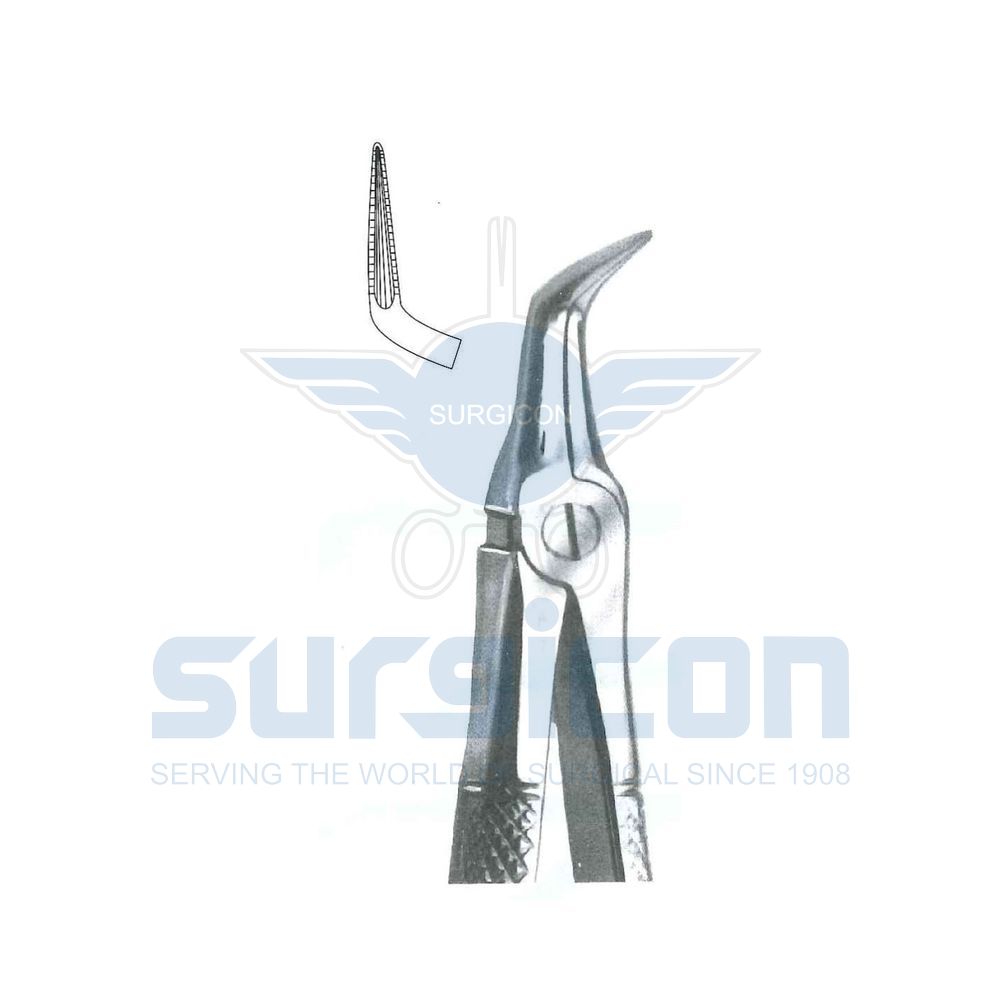 English-Pattern-Extraction-Forcep-SD-0302-145