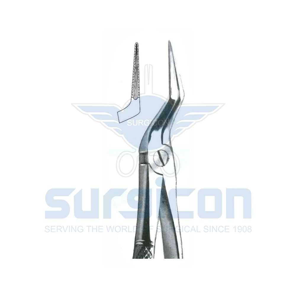 English-Pattern-Extraction-Forcep-SD-0303-151