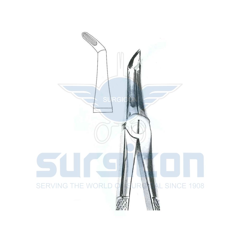 English-Pattern-Extraction-Forcep-SD-0304-346