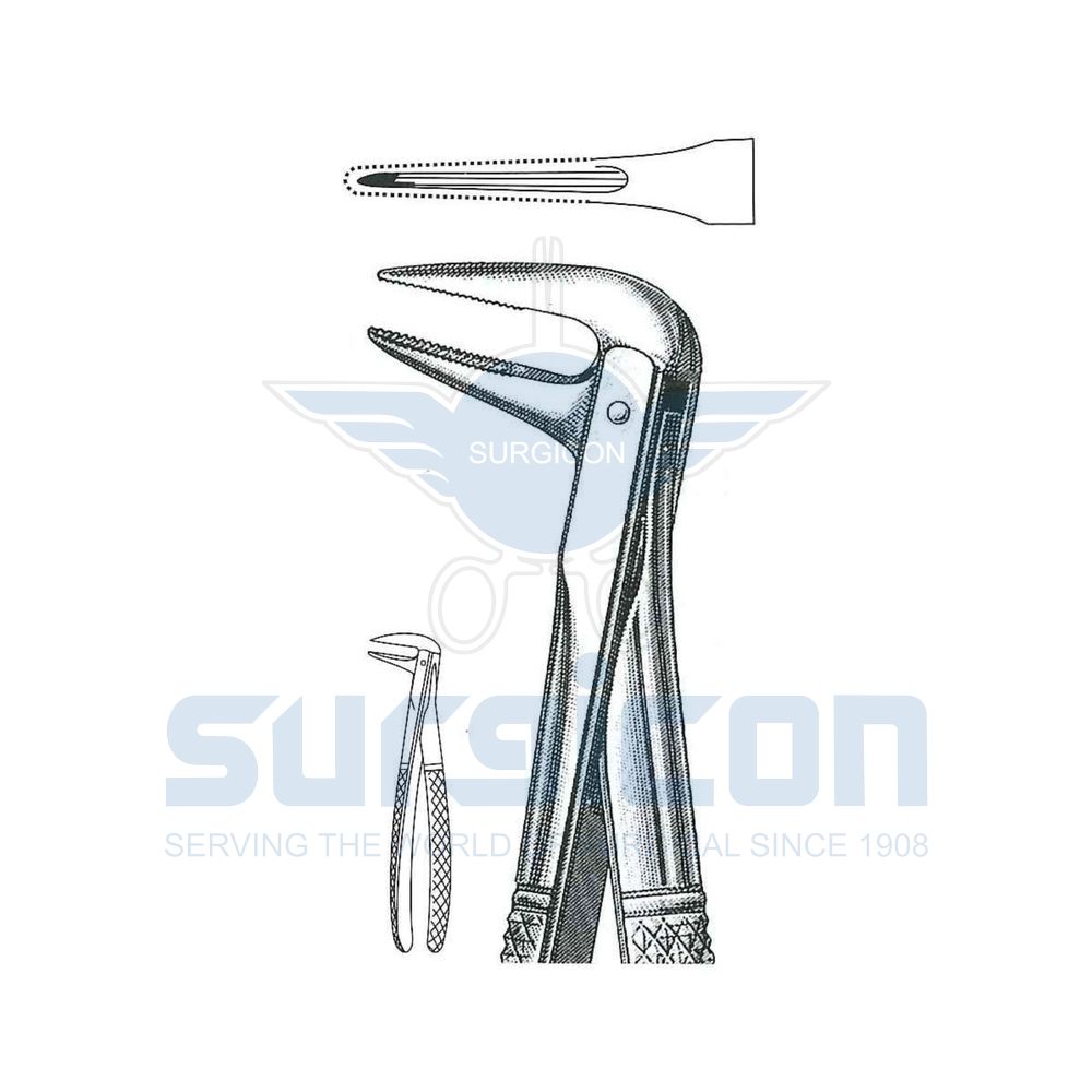 English-Pattern-Extraction-Forcep-SD-0309-233