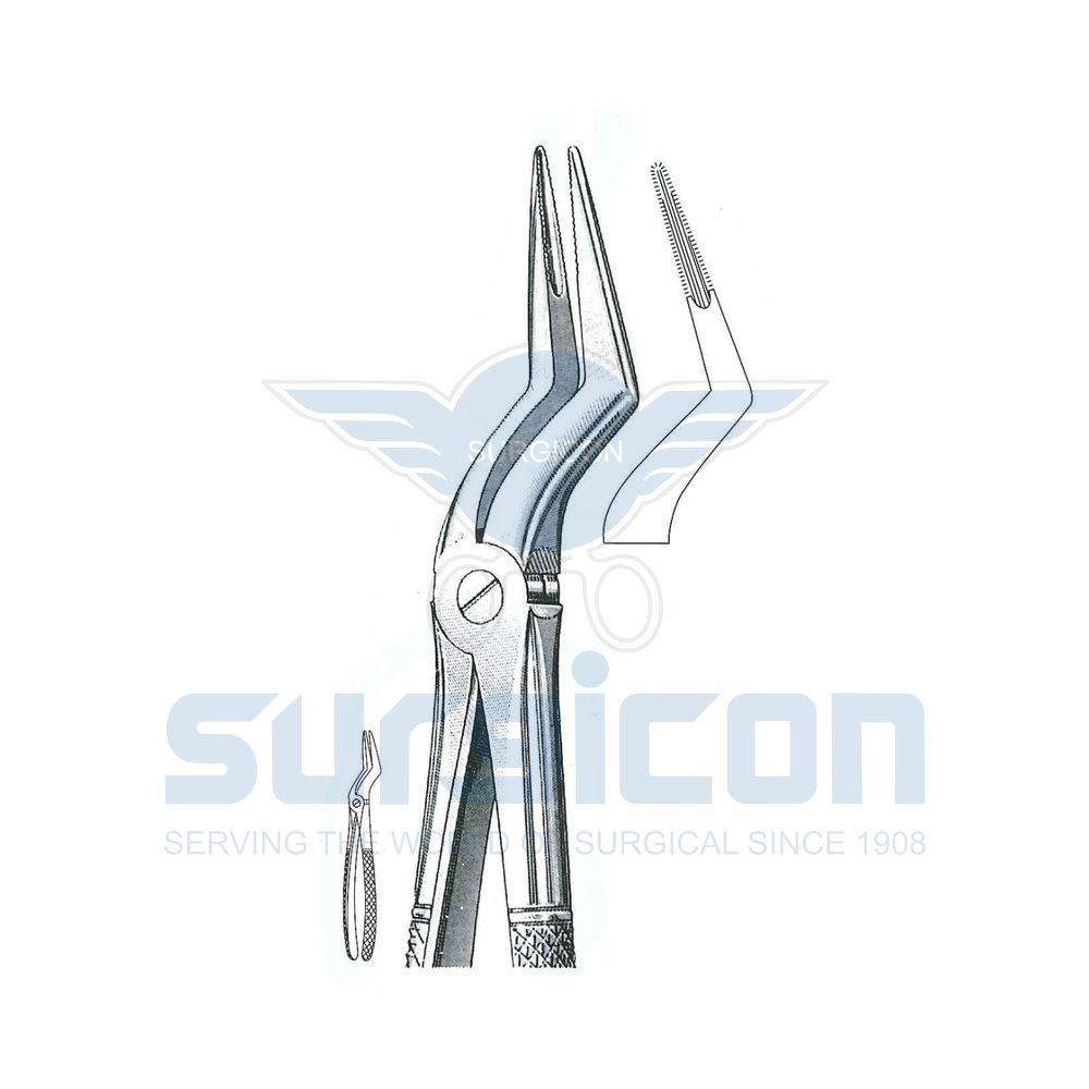 English-Pattern-Extraction-Forcep-SD-0310-235