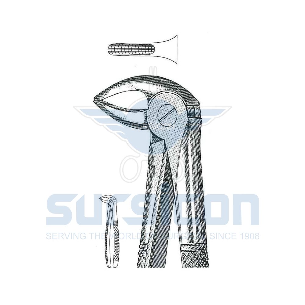 English-Pattern-Extraction-Forcep-SD-0429-33C