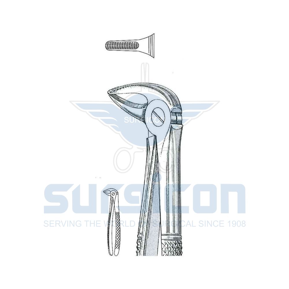English-Pattern-Extraction-Forcep-SD-0431-33S