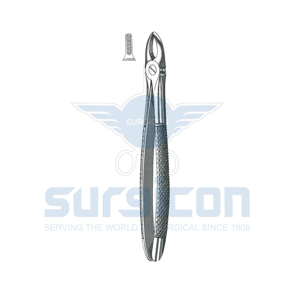 English-Pattern-Extraction-Forcep-SD-0432-37