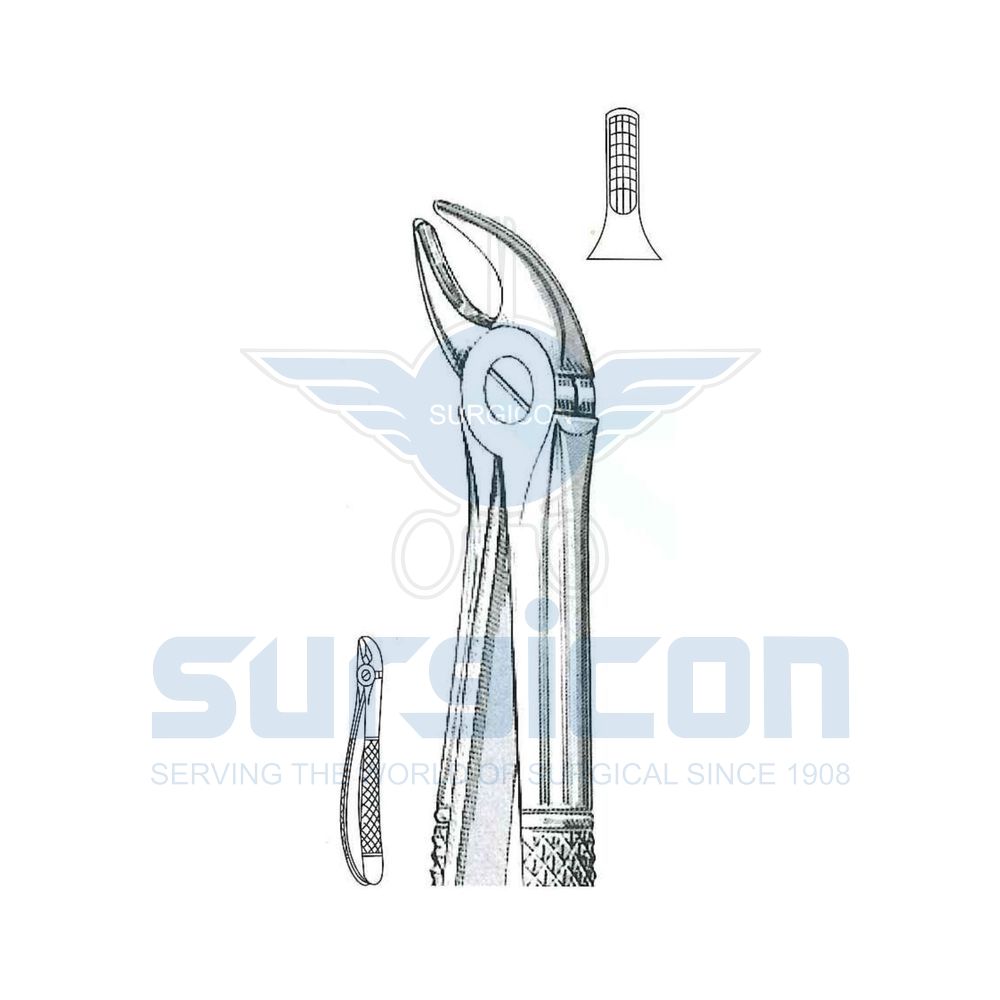 English-Pattern-Extraction-Forcep-SD-0433-38S