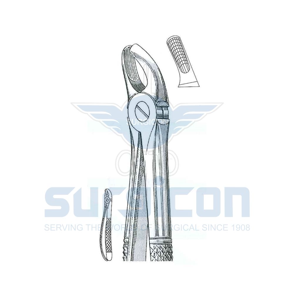 English-Pattern-Extraction-Forcep-SD-0434-39