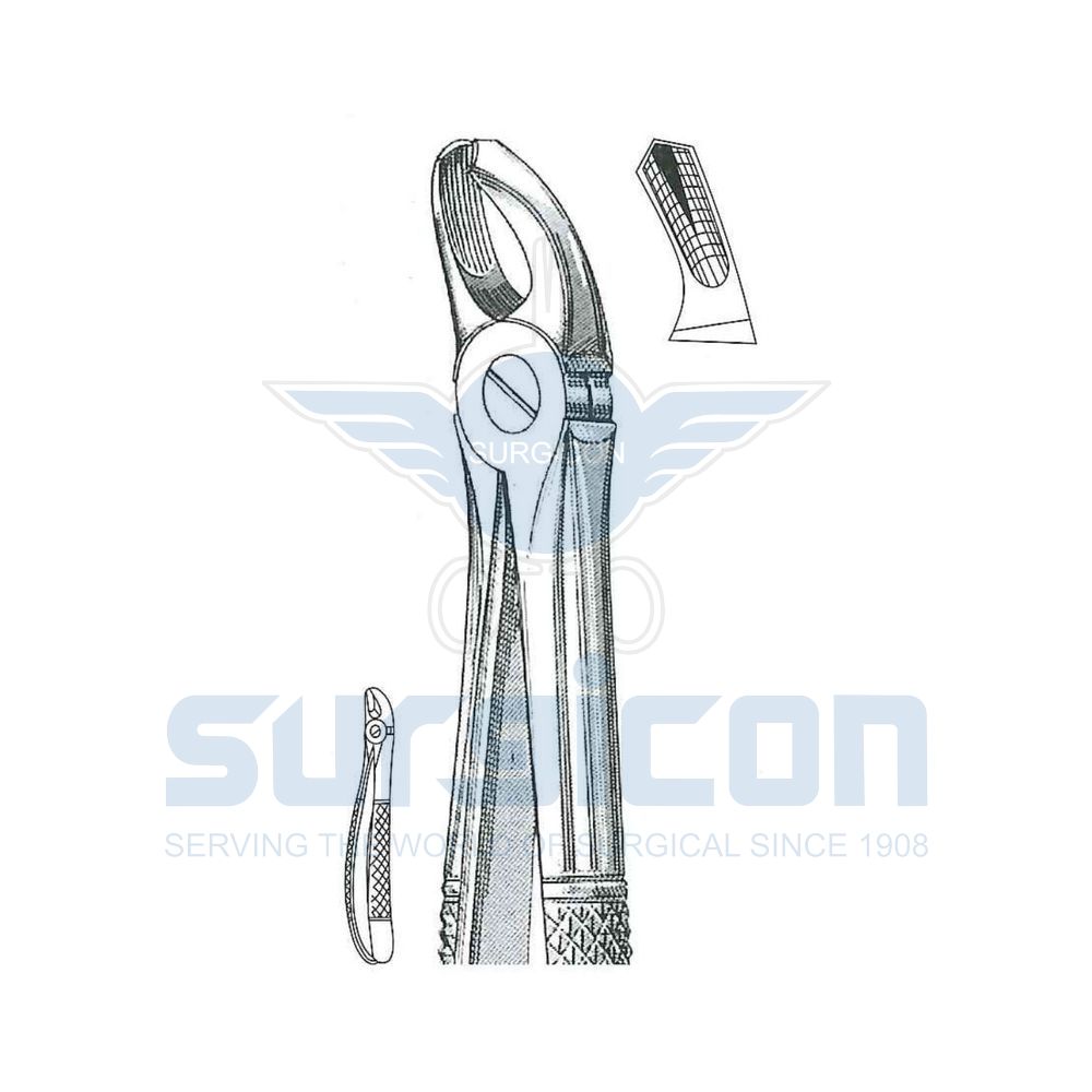English-Pattern-Extraction-Forcep-SD-0436-39L