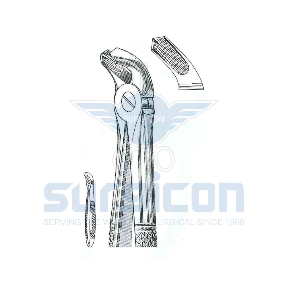 English-Pattern-Extraction-Forcep-SD-0438-40