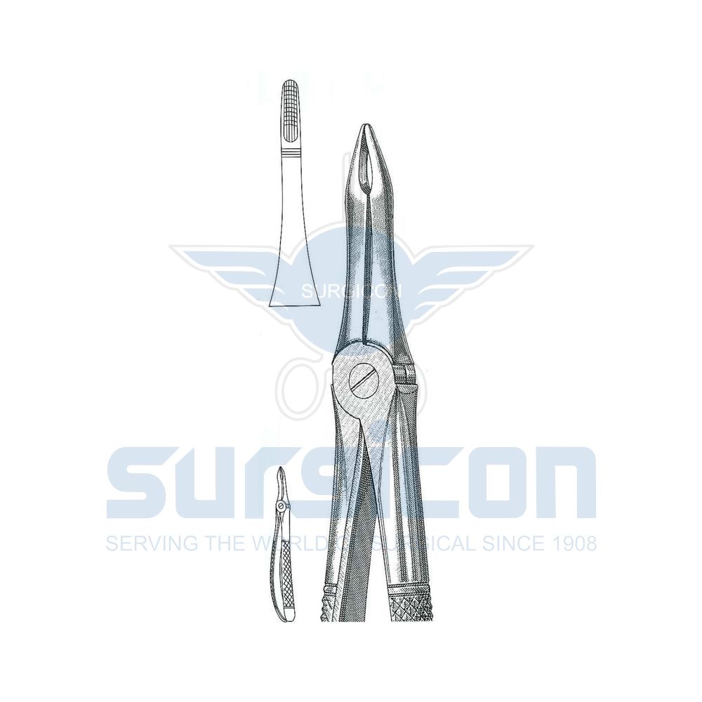 English-Pattern-Extraction-Forcep-SD-0439-41