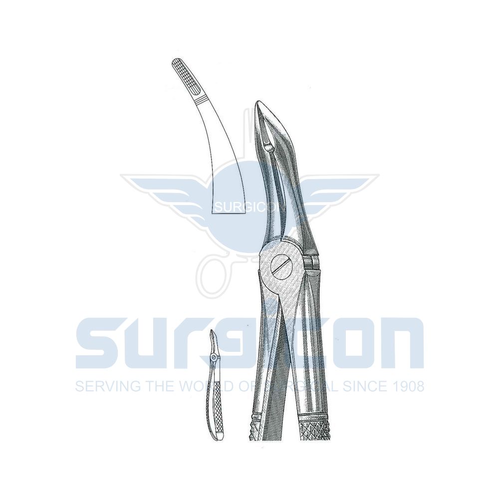English-Pattern-Extraction-Forcep-SD-0440-44