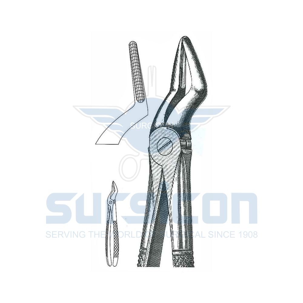 English-Pattern-Extraction-Forcep-SD-0442-51