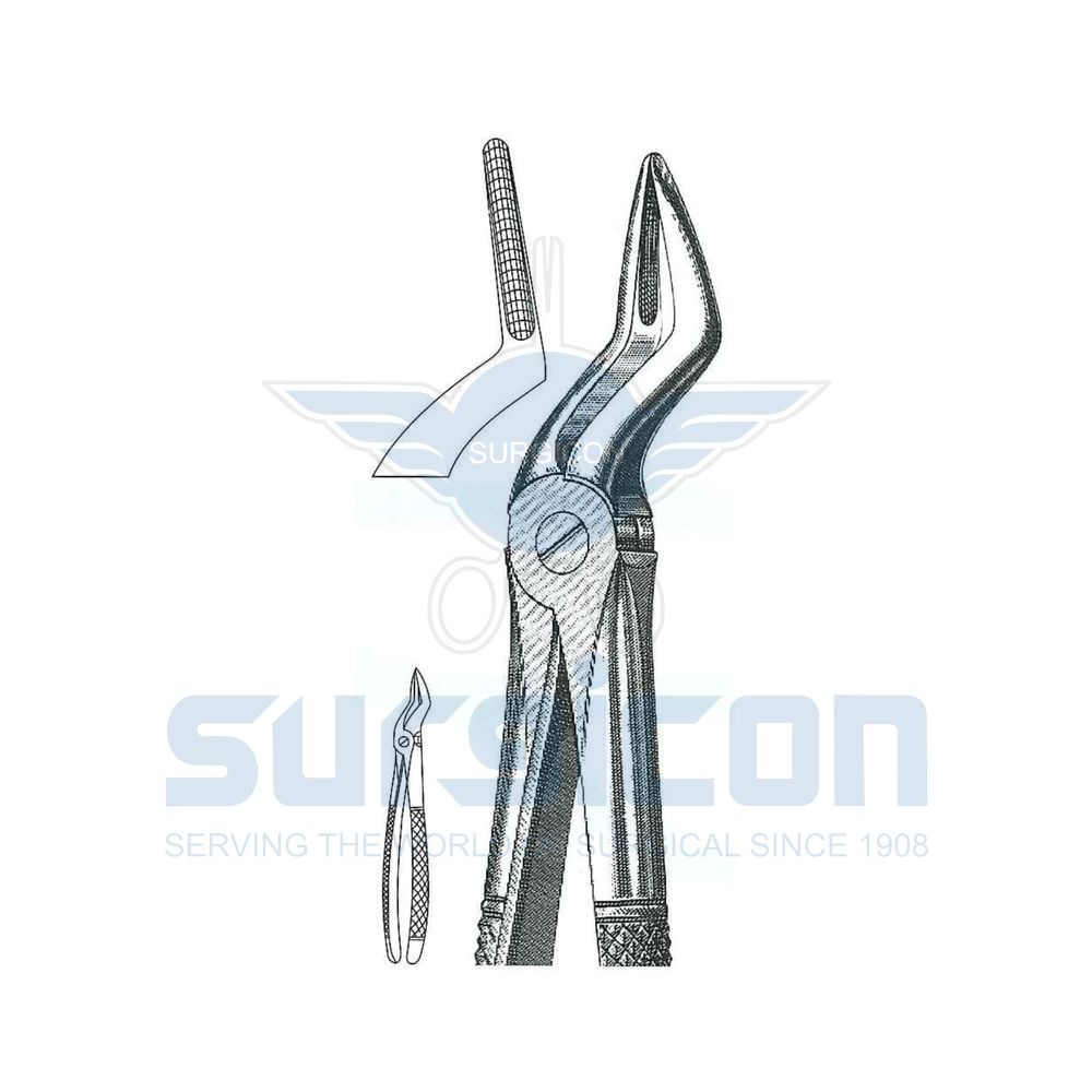 English-Pattern-Extraction-Forcep-SD-0443-51A