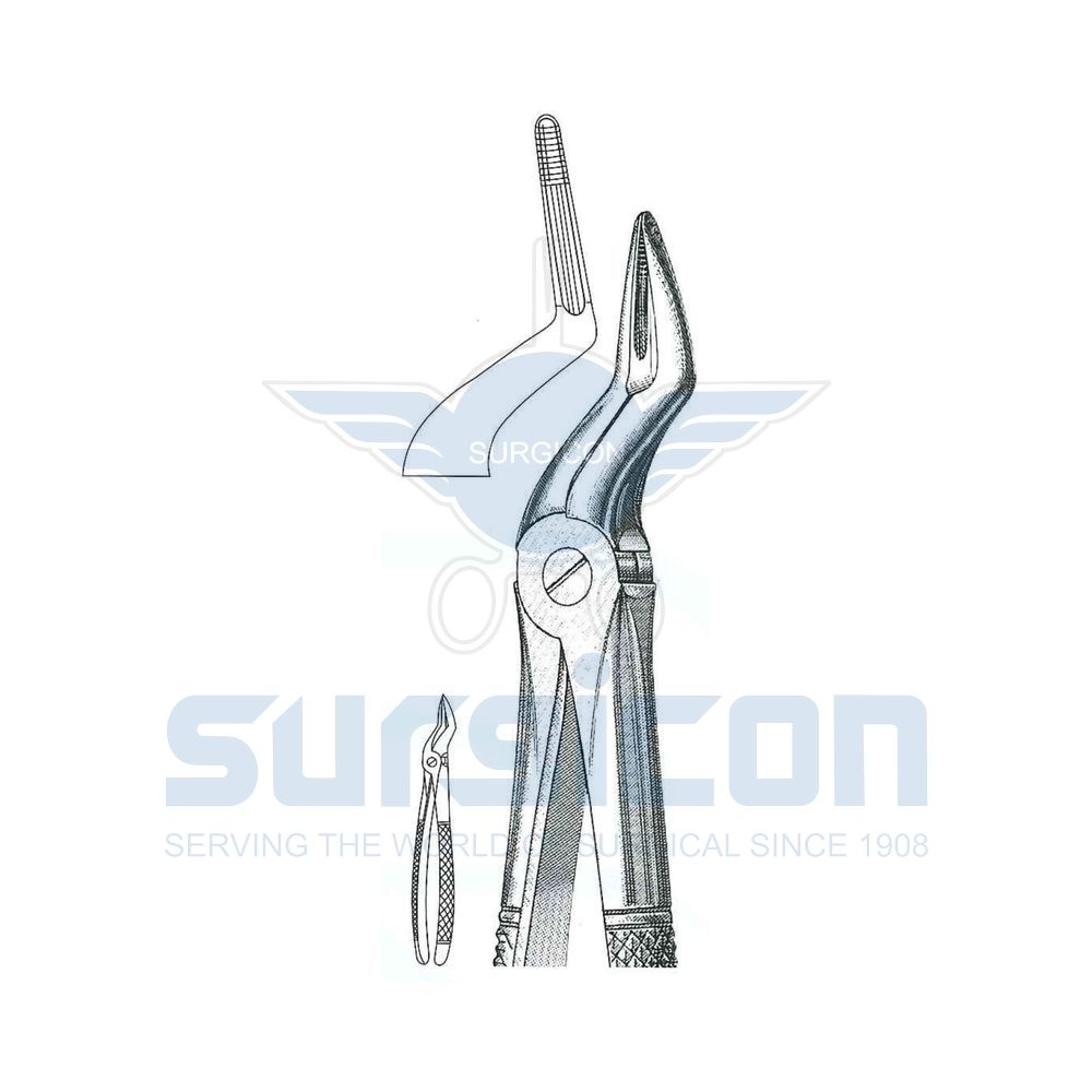 English-Pattern-Extraction-Forcep-SD-0444-51C