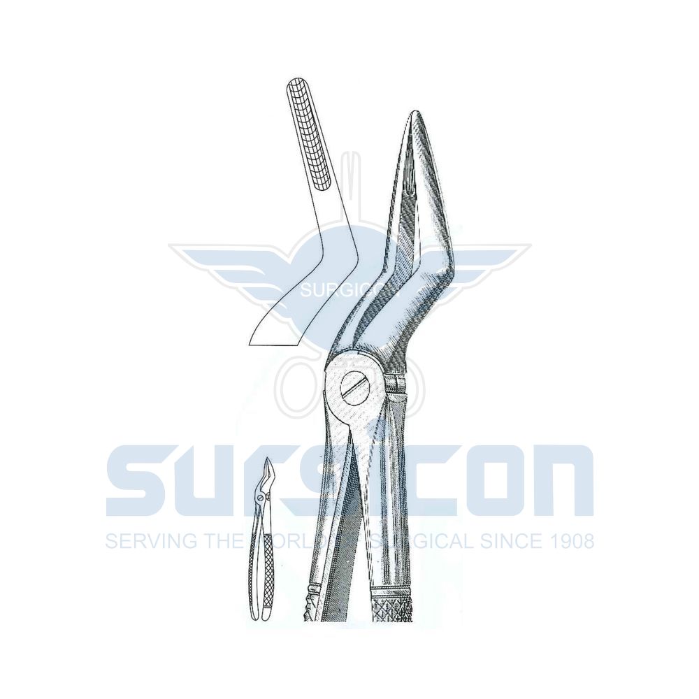 English-Pattern-Extraction-Forcep-SD-0445-51M