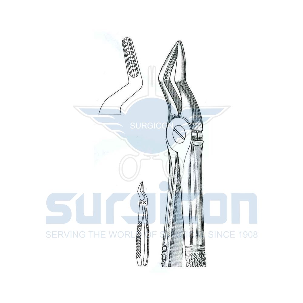 English-Pattern-Extraction-Forcep-SD-0446-51S