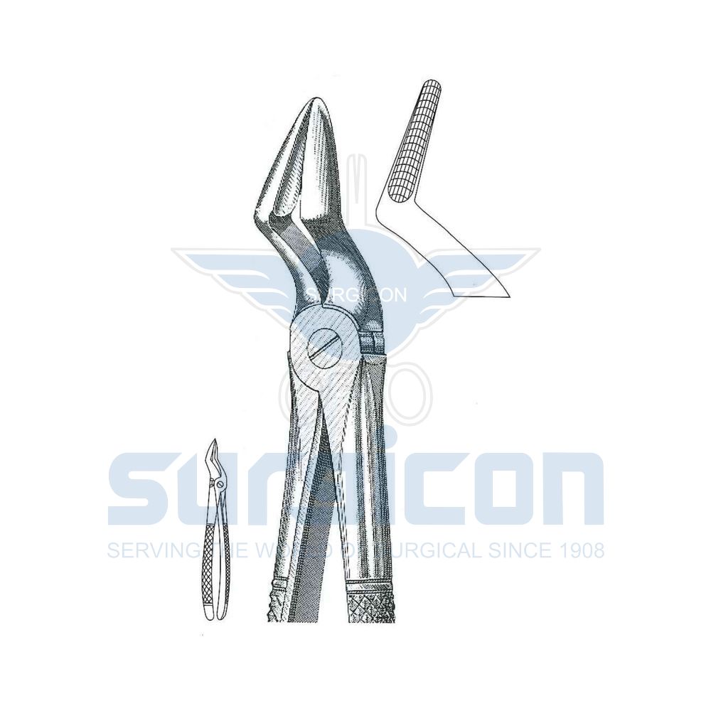 English-Pattern-Extraction-Forcep-SD-0447-52
