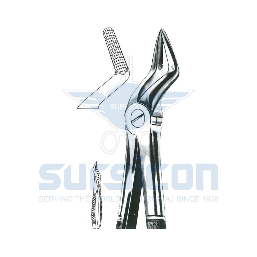 English-Pattern-Extraction-Forcep-SD-0448-52A